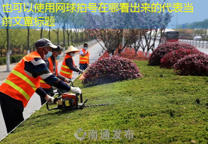 网球拍号在哪看出来的