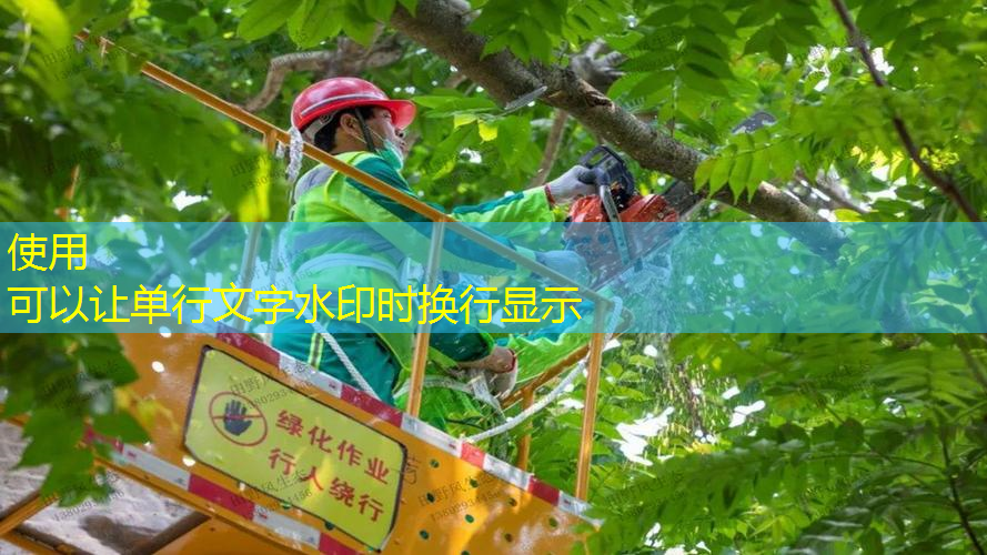 JN江南·体育最新，网球拍训练器红双喜专业