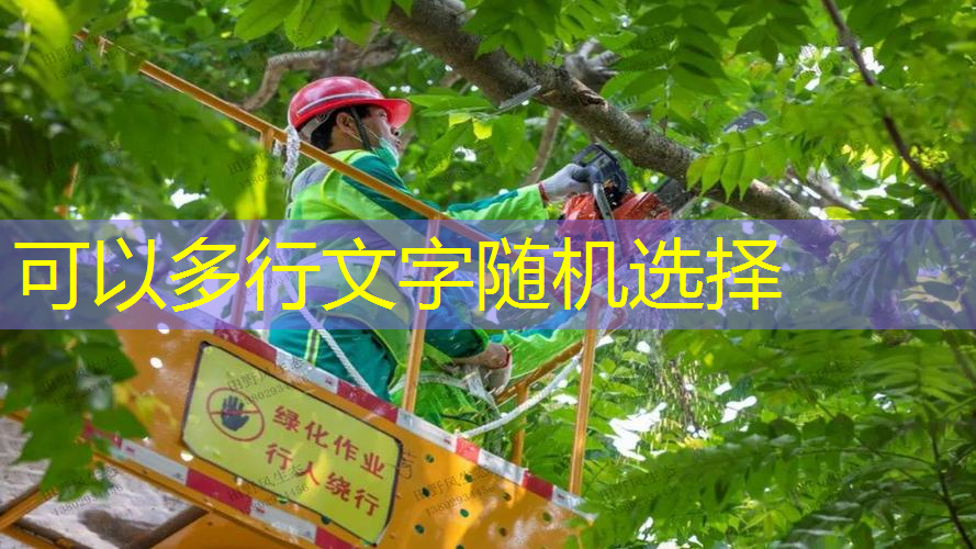 jn江南官方体育，比赛专用乒乓球台尺寸出奇体育