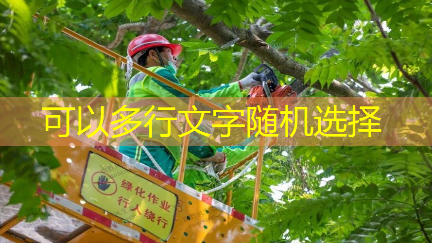 JN江南·体育最新，平衡点大的网球拍