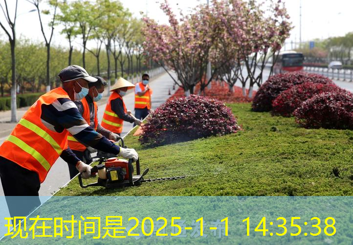 发射器的网球拍是什么