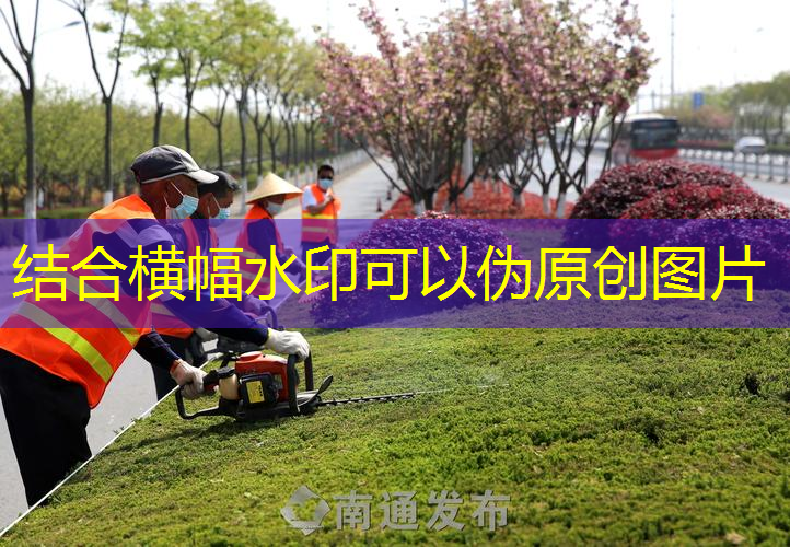江南·体育官方网站登录，网球拍最中庸的平衡点选择