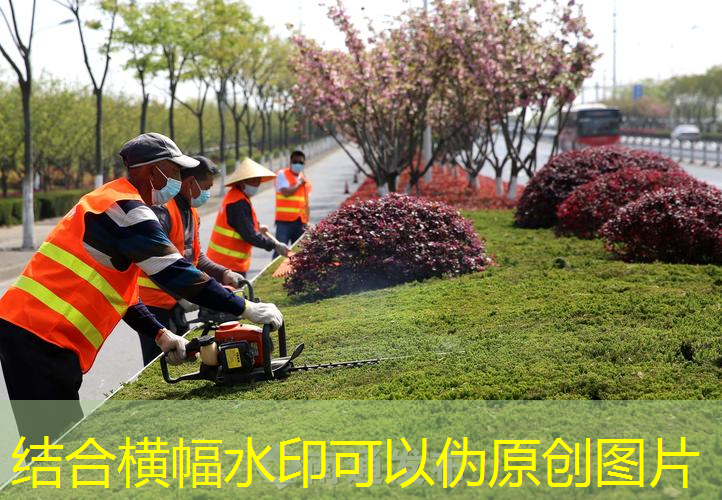 邓禄普网球拍底盖鉴定