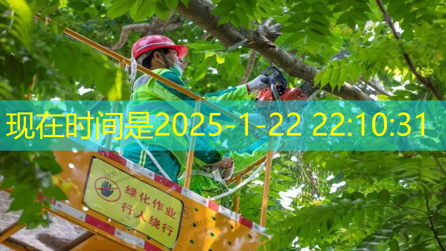 jn江南·体育登录入口，网球拍的帅气玩法有哪些