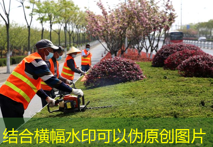江南·体育官方网站登录，哪款网球拍适合单反用