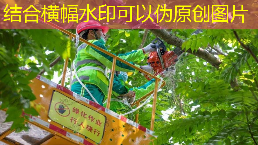 jn江南娱乐，威尔逊网球拍重量怎么选