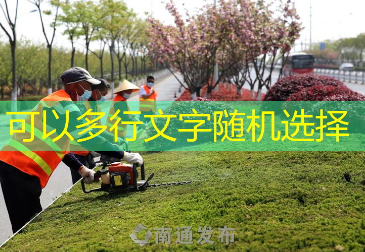 jn江南娱乐，网球拍漆裂是什么情况