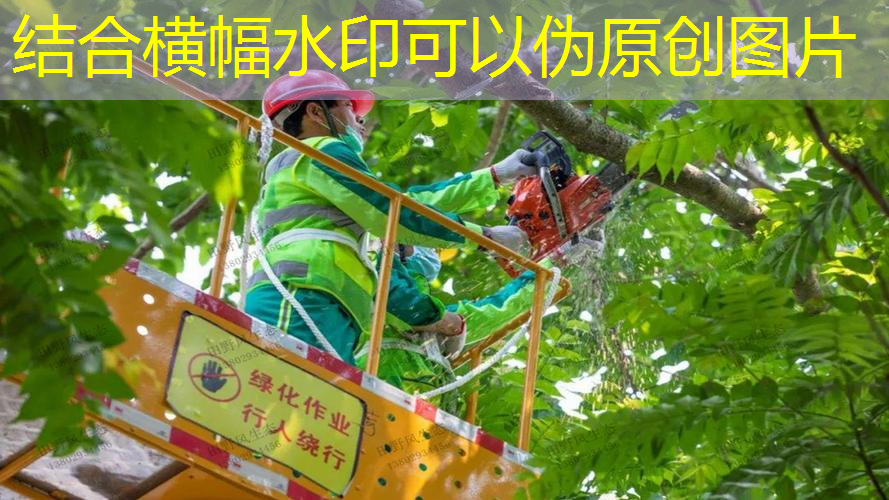 澳洲需要带网球拍吗现在
