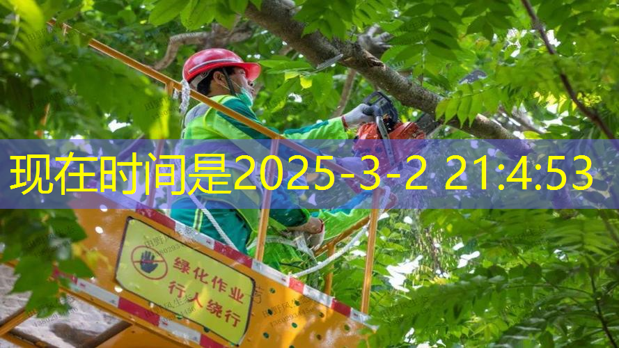 江南·体育官方网站登录，龙岗区拉网球拍线