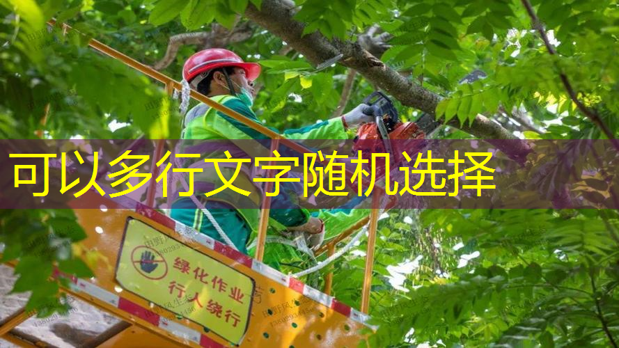网球拍子参数在哪找的呢