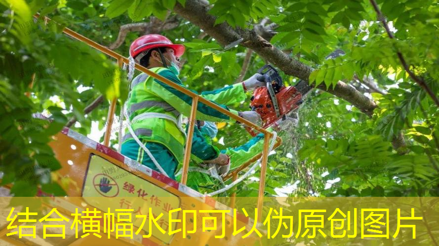 江南·体育官方网站登录，看网球拍的软件哪个好
