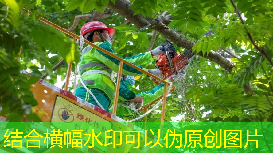 网球拍宽度不超过多少