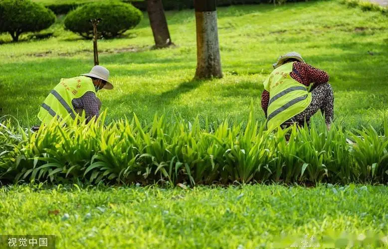 jn江南·体育登录入口，网球拍赠品球怎么玩教程