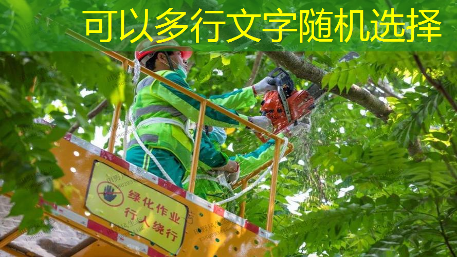 大拍面王子网球拍子