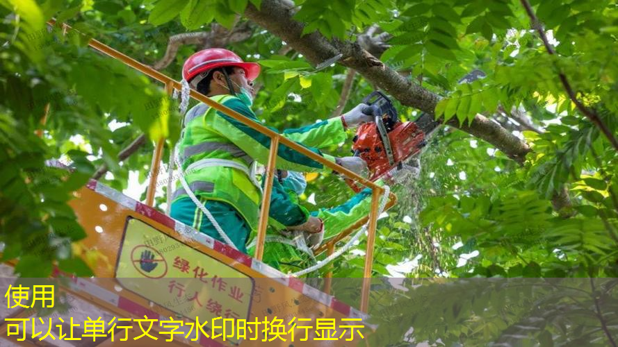 JN江南总部，同款网球拍价格差异大吗_