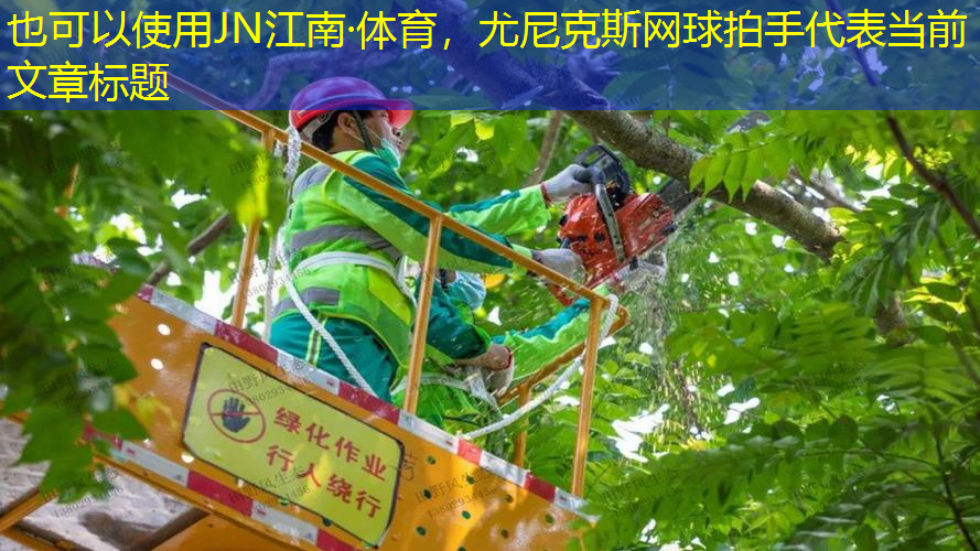 JN江南·体育，尤尼克斯网球拍手