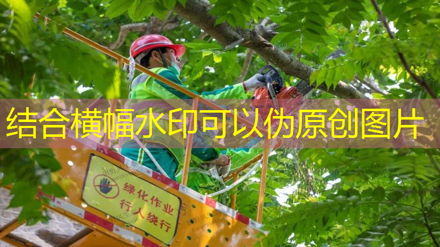 jn江南公司，网球拍拍收纳技巧图解法