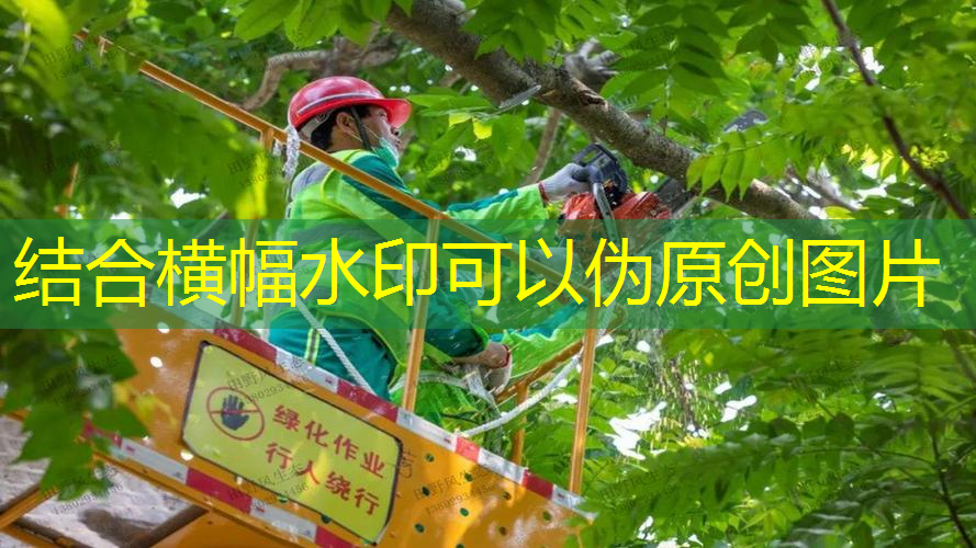 jn江南·体育登录入口，室内篮球训练器材推荐用