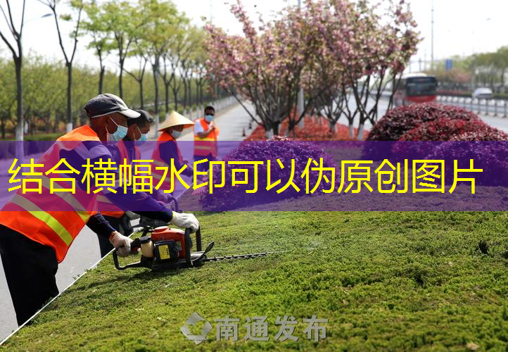 江南俱乐部，一张乒乓球台的重量