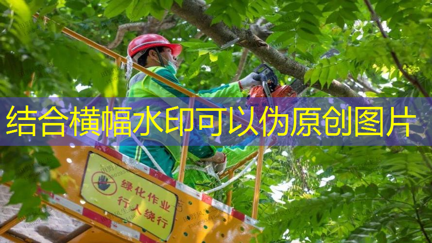 网球拍底盖怎么配好看
