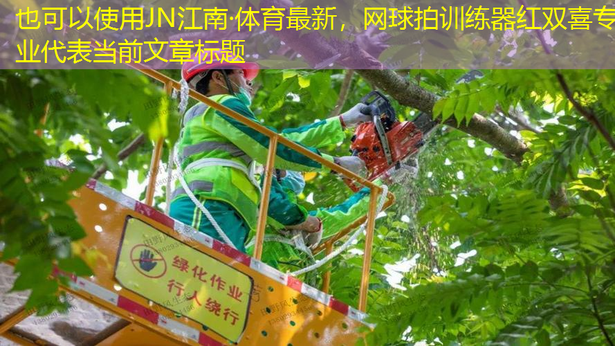 网球拍训练器红双喜专业