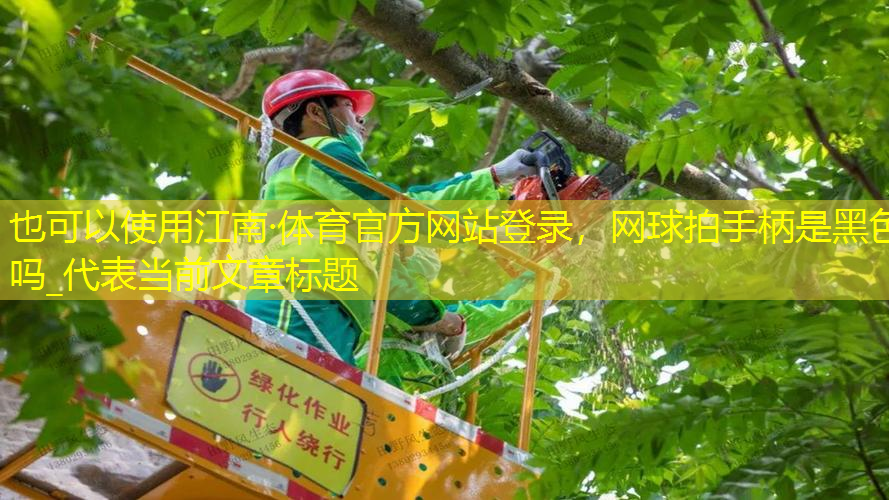 网球拍手柄是黑色吗_