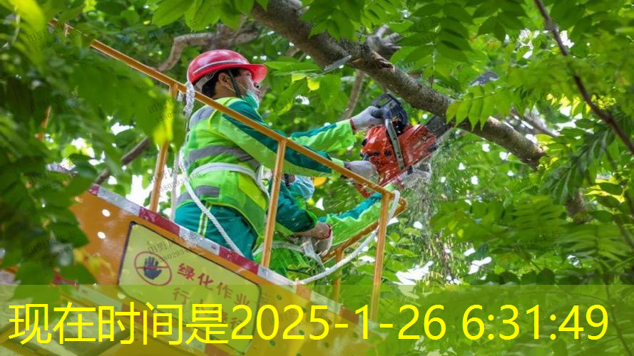 网球拍不用捡球吗为什么