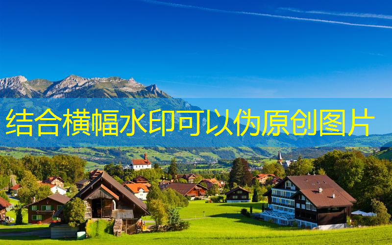 2007鸿星尔克网球拍
