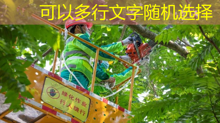 网球拍初学者兴趣班
