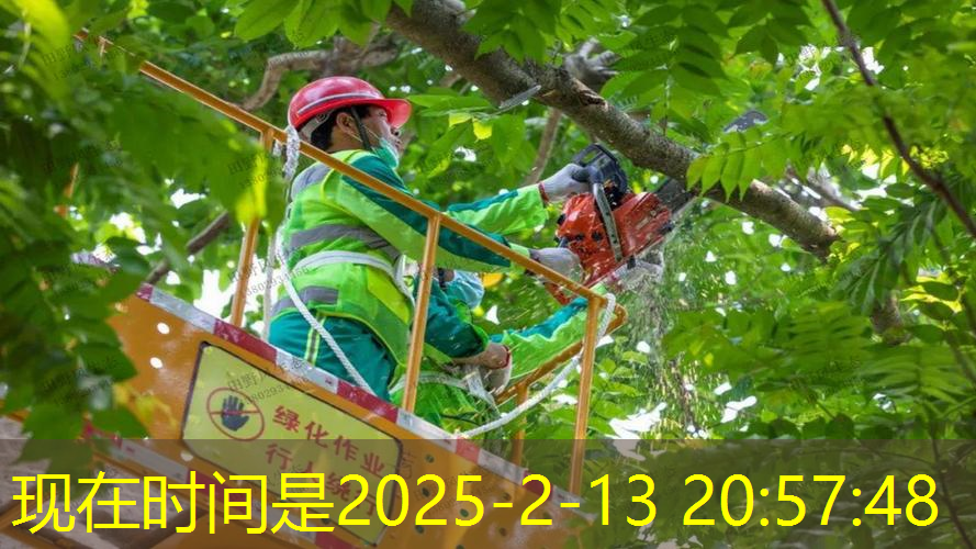 儿童网球拍和成人的区别