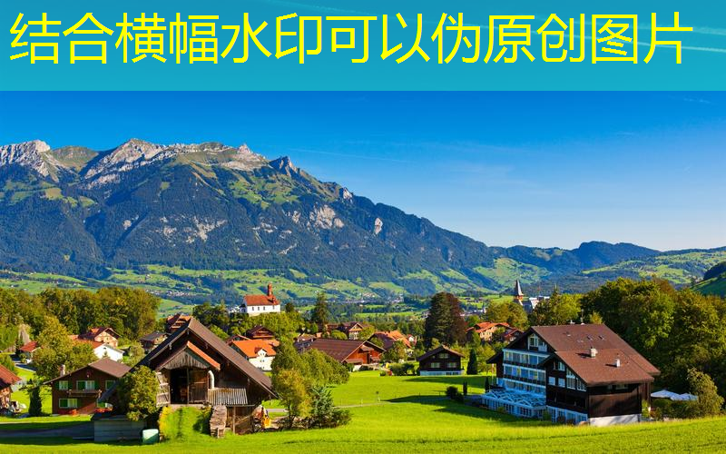 体校用什么网球拍最好呢