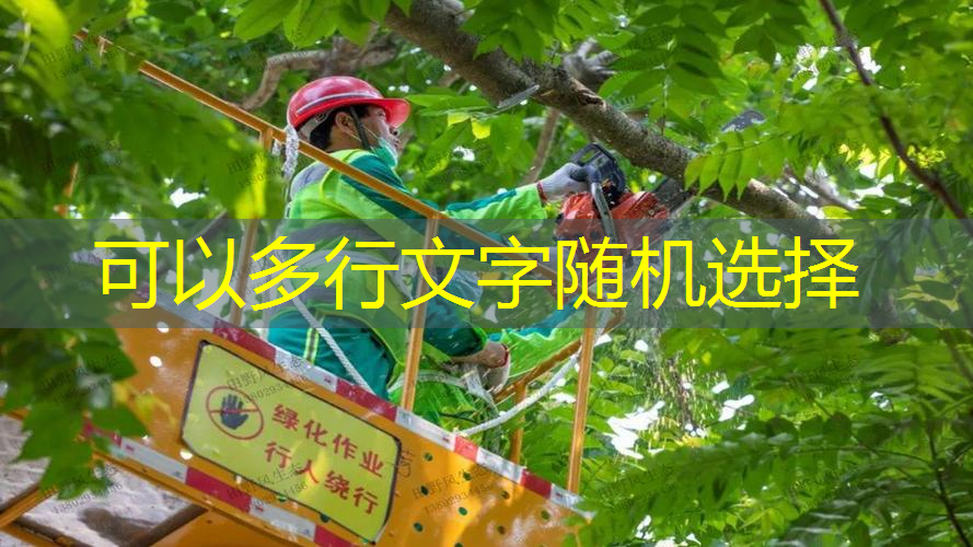 龙岗区拉网球拍线