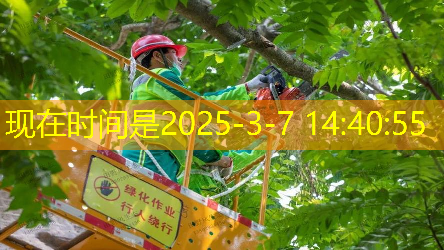 网球拍子参数在哪找的呢