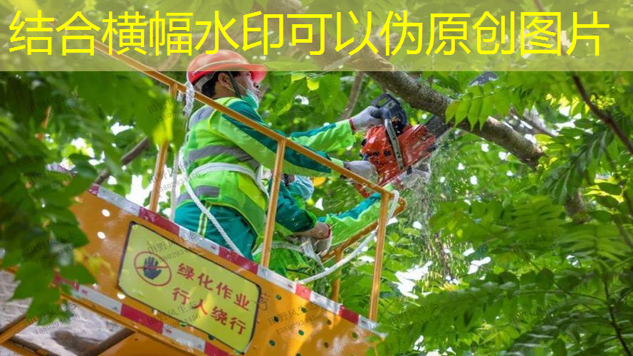 背网球拍的流浪汉