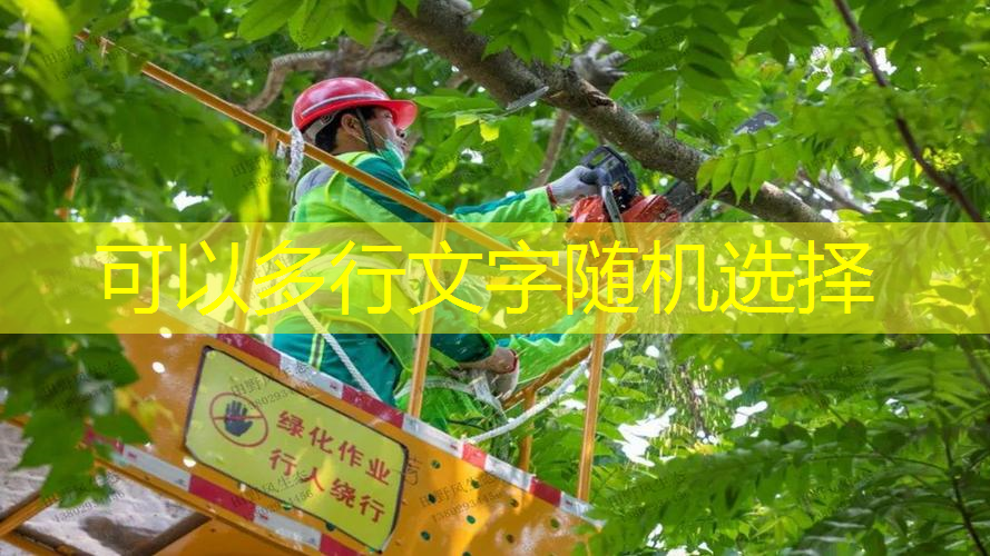 看网球拍的软件哪个好