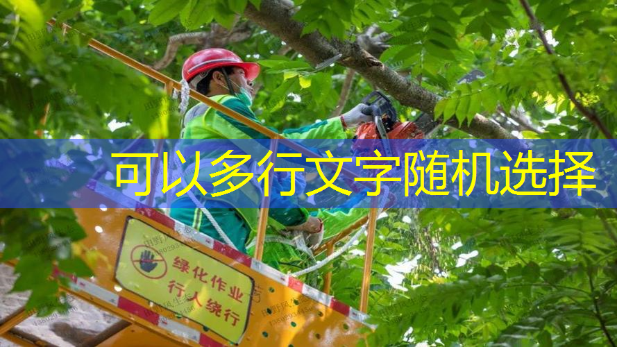 网球拍宽度不超过多少
