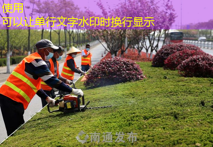 职业网球拍数据分析图表