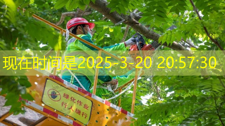 什么网球拍更好用耐打一点