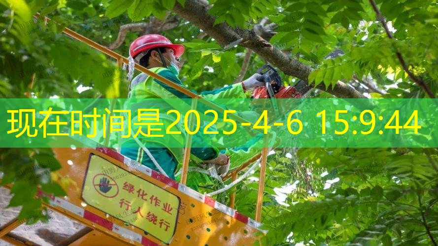 尤尼克斯网球拍手
