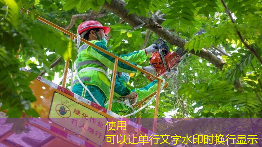 尤尼克斯26网球拍