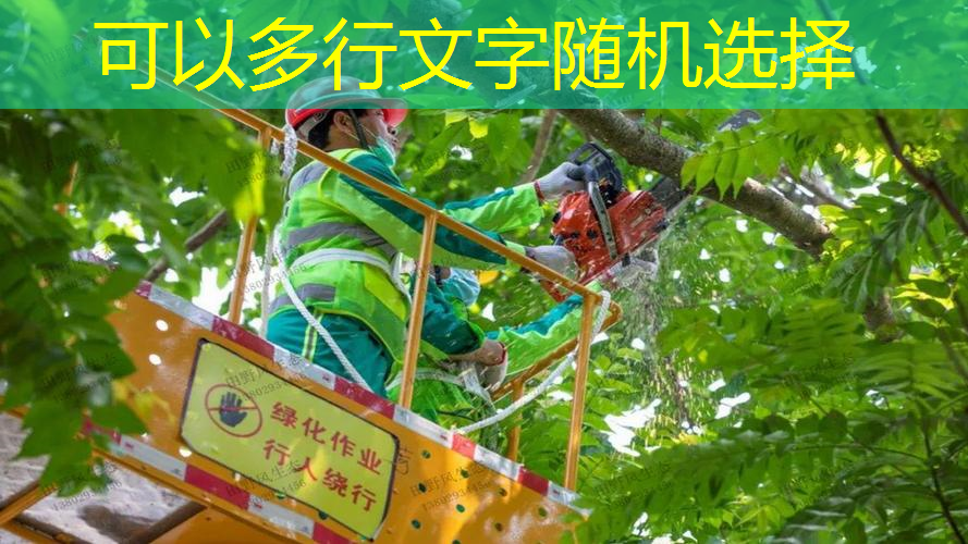 壁球可以用网球拍打吗_