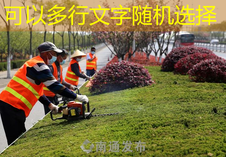网球拍线都用哪种线代替