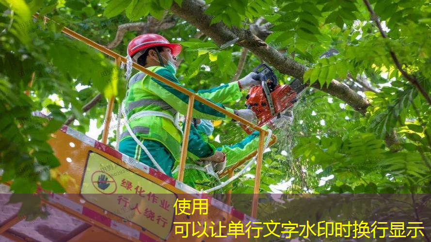网球拍几号拍子好一点