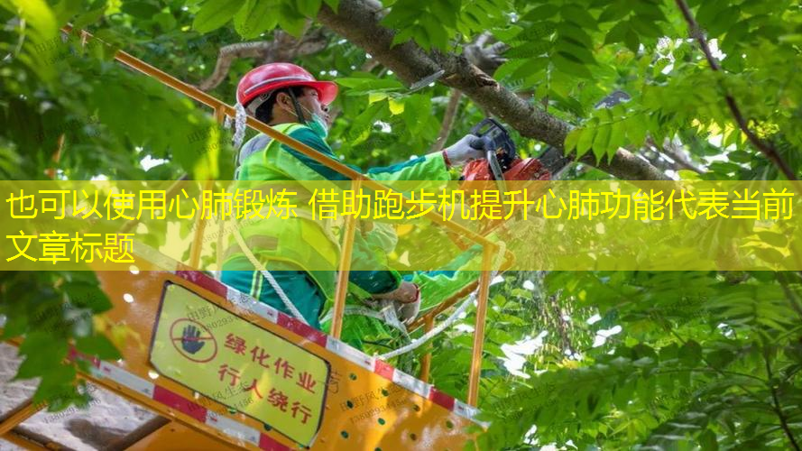 心肺锻炼 借助跑步机提升心肺功能