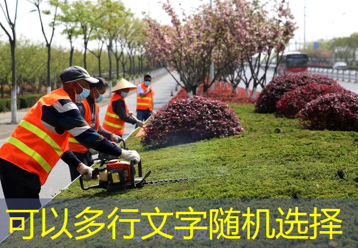 邓禄普网球拍底盖鉴定