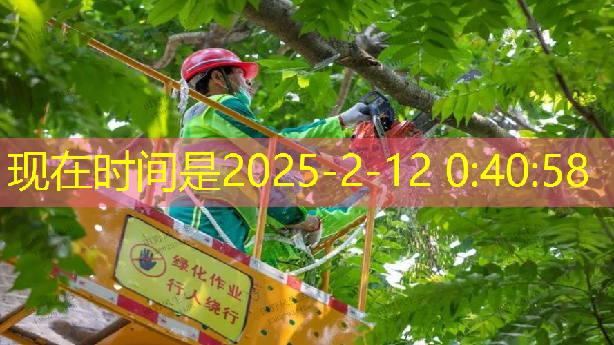 威尔逊网球拍重量怎么选