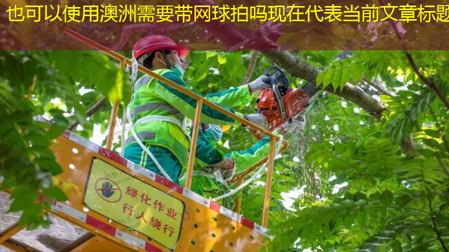 澳洲需要带网球拍吗现在
