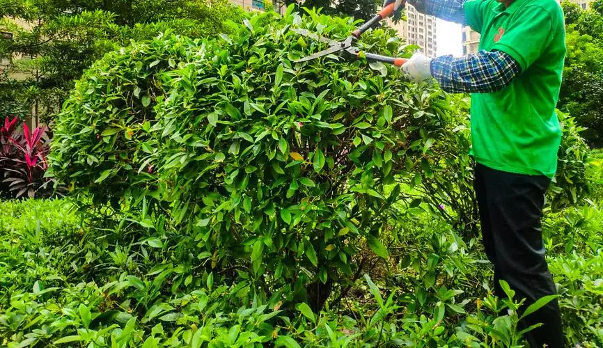 网球拍避震胶圈怎么用
