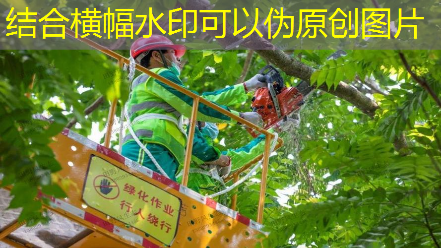 网球拍橙色好看还是蓝色好看