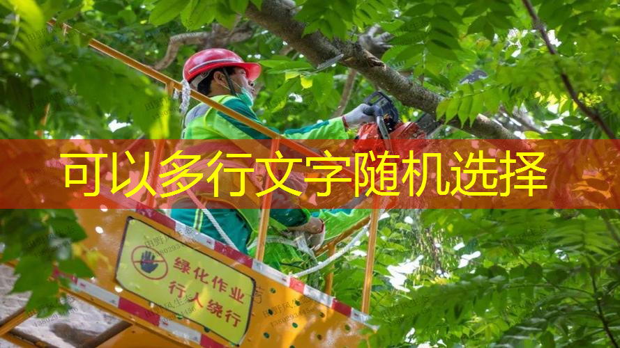解密篮球架侧面边的标准高度和调整原则！